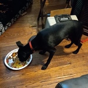 Meet your Posher, Skull